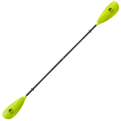 Bending Branches Sunrise Glass