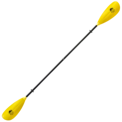 Bending Branches Sunrise Glass