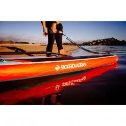 Boardworks Coiled Ankle SUP Leash 11'